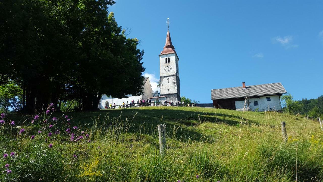House For Nature Lovers Medvode Exterior photo